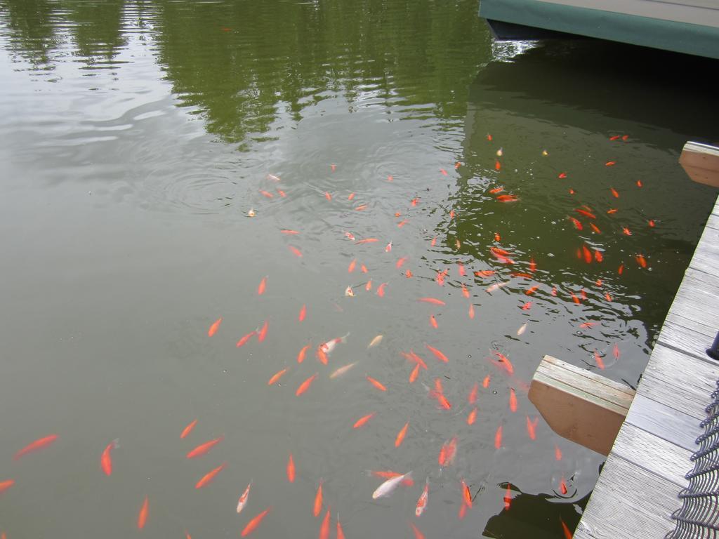 Clearwater Valley Resort Ngoại thất bức ảnh